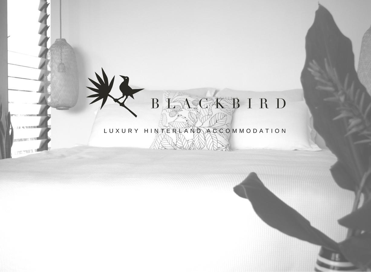 Blackbird Luxury Accommodation Mullumbimby Buitenkant foto